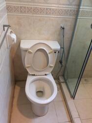 Hillview Heights (D23), Condominium #254964071